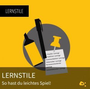 nuboradio-wordpress-lernstile-768x764