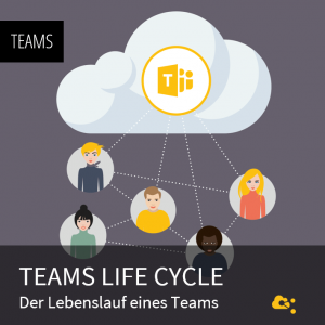 webseite_teamslifecycle-1