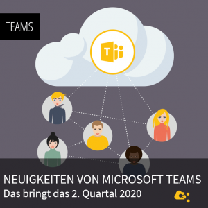 webseite-teams-news-q2