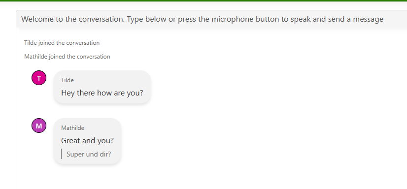 Screenshot Microsoft Translator - Webapp Unterhaltung