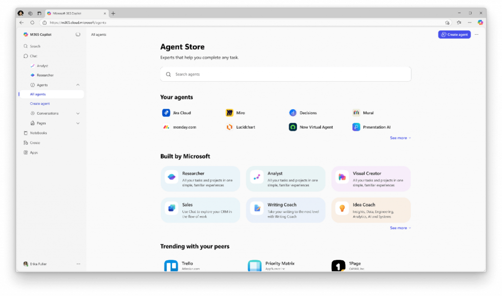 Copilot Agent Store
