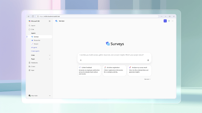 Screenshot Survey Agent
