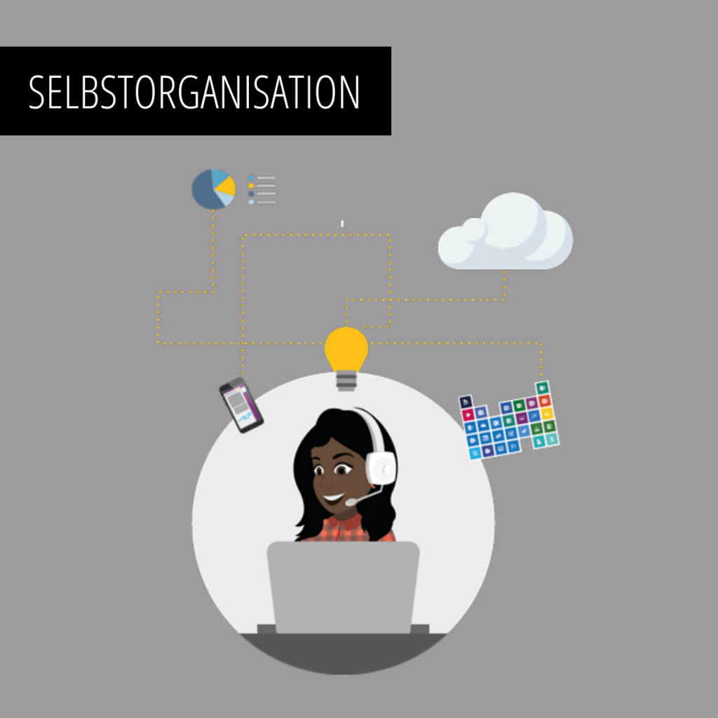 Selbstorganisation