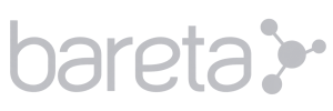 bareta-logo-grey