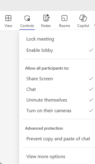 Meeting Optionen - Übersicht Teil 1