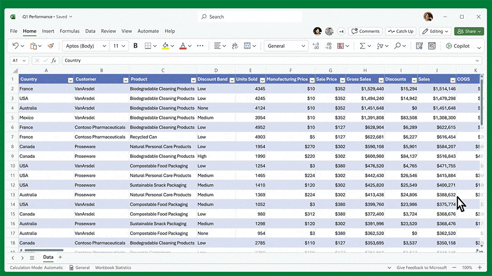 Microsoft 365 Copilot Excel Beispiel
